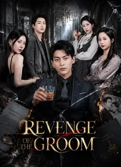 Revenge of The Groom poster