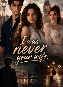I was never your wife poster