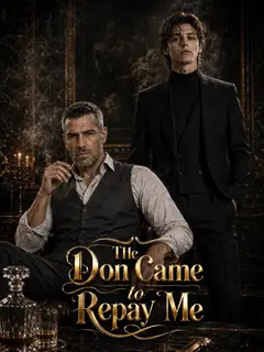 The Don Came to Repay Me poster