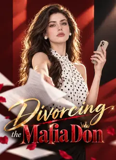 Divorcing the Mafia Don poster