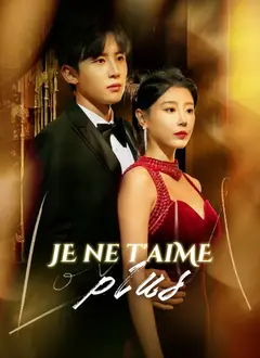 Je ne t'aime plus poster