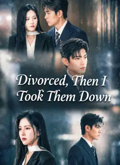 Divorced, Then I Took Them Down poster
