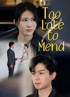 Too Late to Mend poster