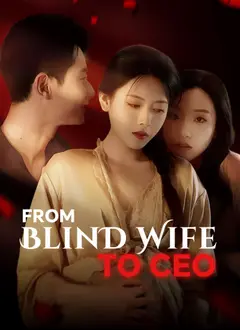 From Blind Wife to CEO poster