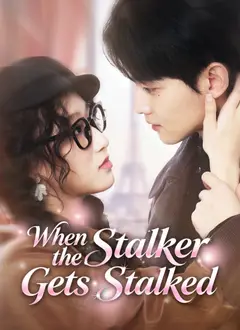 When the Stalker Gets Stalked poster