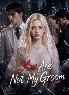 You Are Not My Groom poster