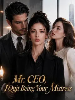 Mr. CEO, I Quit Being Your Mistress poster
