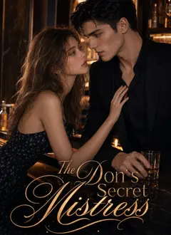 The Don's Secret Mistress poster