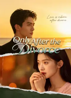 Only After the Divorce poster
