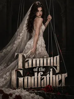 Taming of the Godfather poster