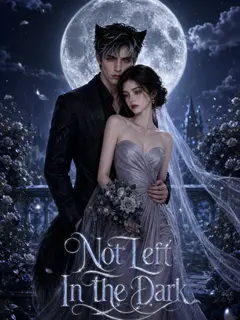 Not Left In The Dark poster